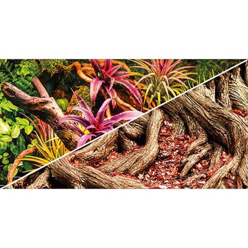 Hobby Pozadí oboustranné Jungle / Strangler Fig 60cm x 25m