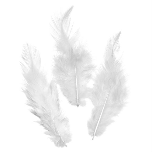 Peříčka (16ks) bílá kohoutí