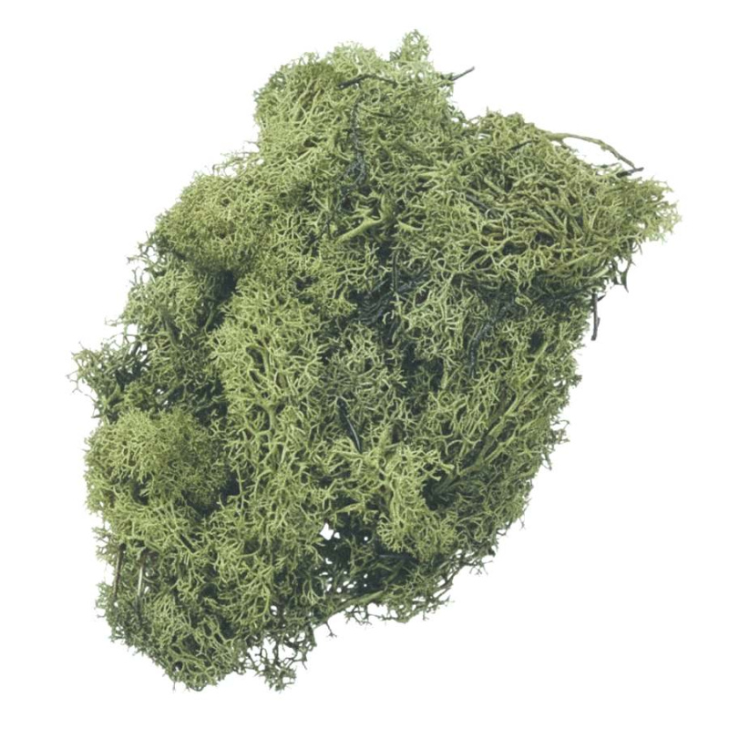Knorr Prandell Dekorační islandský mech světle zelený 250 g