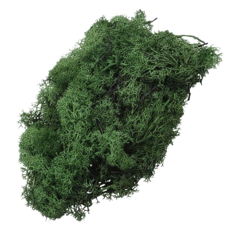 Knorr Prandell Dekorační islandský mech tmavě zelený 250 g