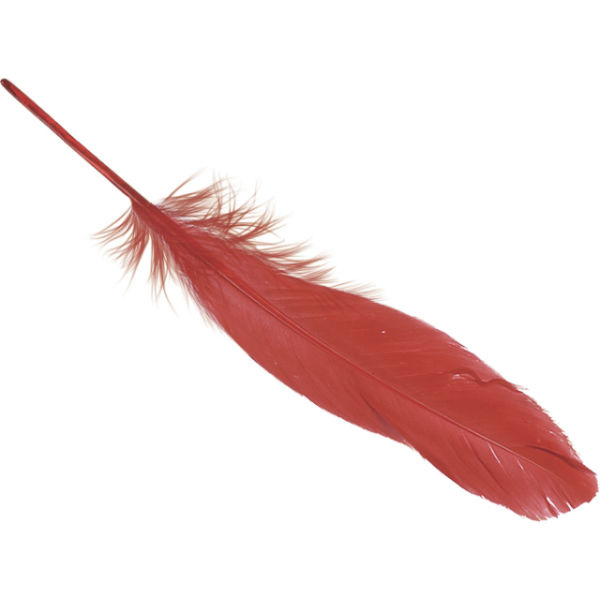 Peříčka (8ks) červená husí 16-21cm