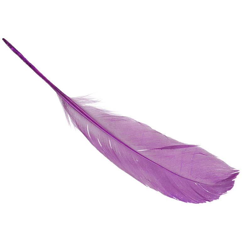 Peříčka (8ks) tmavě růžová husí 16-21cm