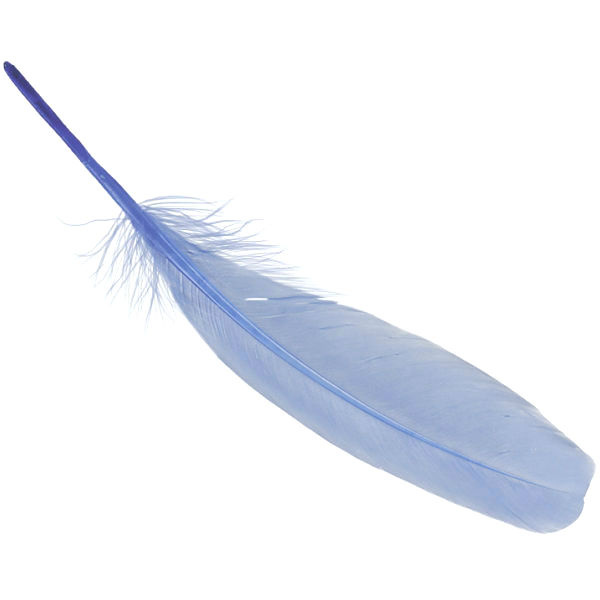 Peříčka (8ks) světle modrá husí 16-21cm