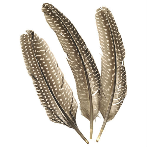 Dekorativní peříčka bažantí 8 ks - kropenatá