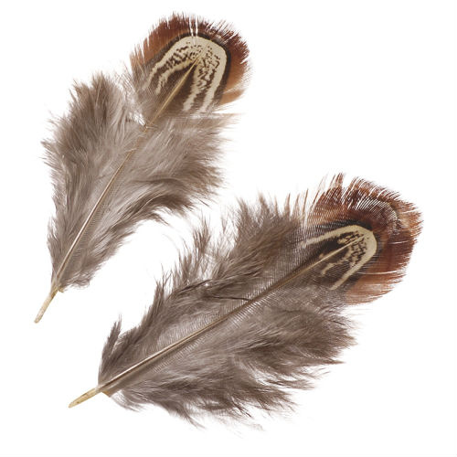 Peříčka přírodní 1,5g bažantí