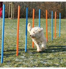 AGILITY Slalom, tyče  12ks