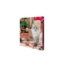 Adventní kalendář pro kočky, 30x34x3,5 cm TRIXIE 1 ks