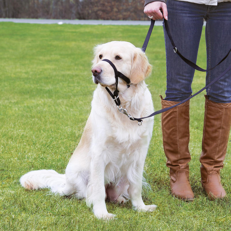 TOP TRAINER výcviková ohlávka TRIXIE L 37 cm