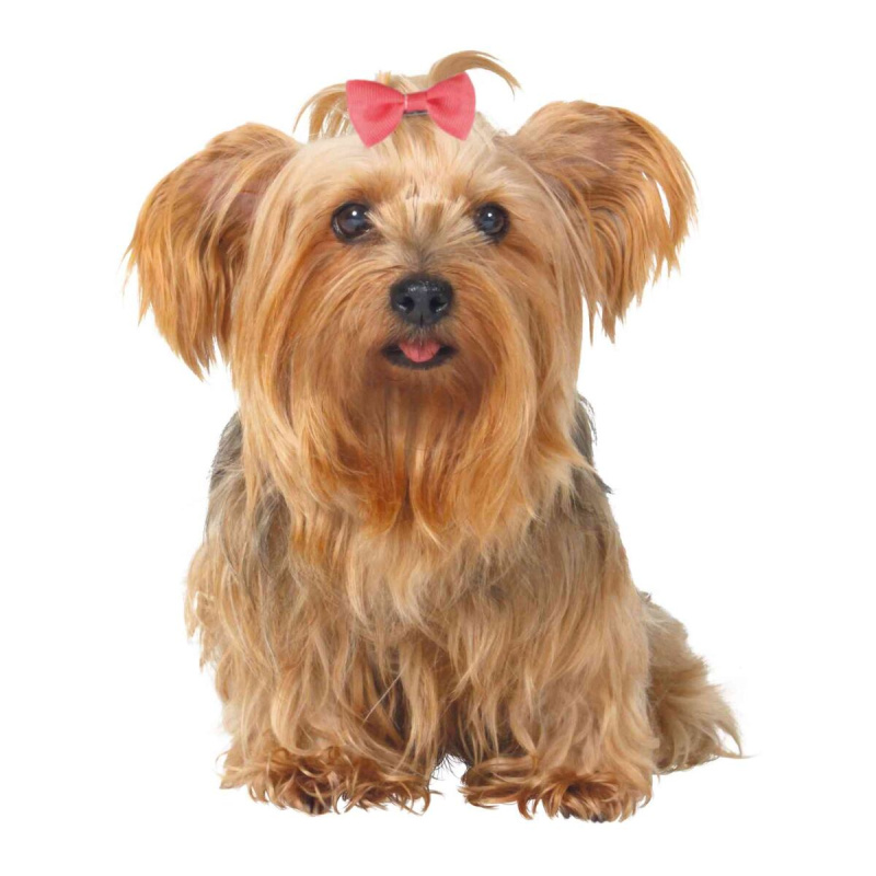 Mašlička s kovovou sponou [10ks] 4x5,5cm 6x4,5cm 10 ks