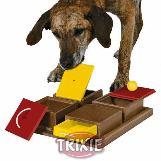 Dog Activity POCKER BOX 1 31x31 cm