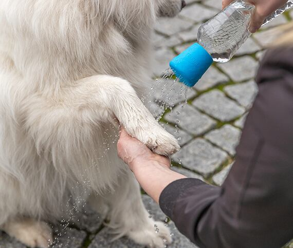 Mobilní sprcha pro psy,  ⌀ 5 x 5.5 cm, modrá 1 ks