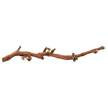 Přírodní dekorace do terária, větev z vinné révy L: 40-55 cm
