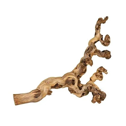 Přírodní dekorace do terária, větev z vinné révy XL: 55-75 cm