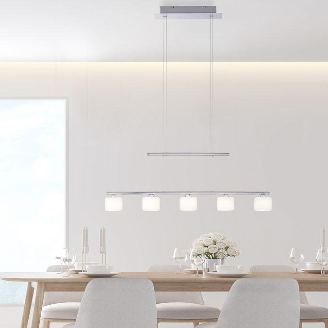 Paul Neuhaus Závěsné LED svítidlo HYDRA, 23W, d. 80 cm, 3000K Barva: Stříbrná