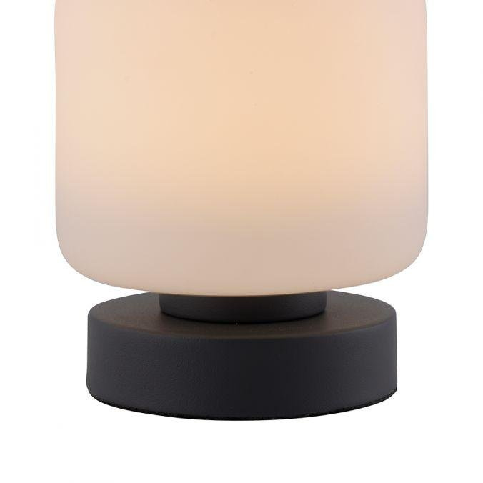 Paul Neuhaus Stolní LED lampa BOTA, 7W, v.15,5 cm, 3000K stmívatelná, dotykový stmívač Barva: Antracit