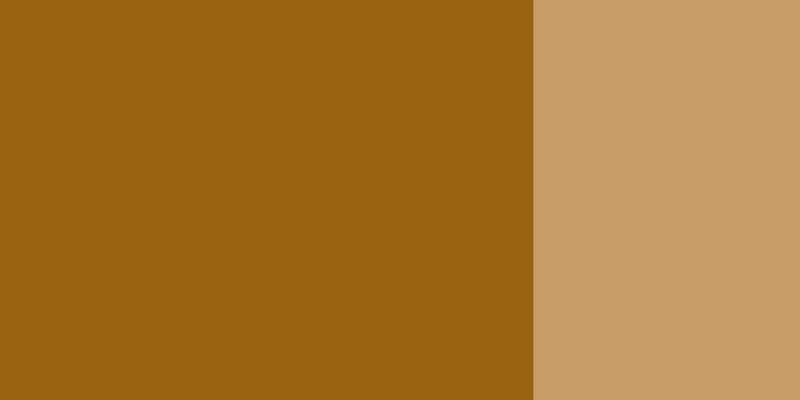 Kvašová barva Schmincke 20ml – 674 raw umber