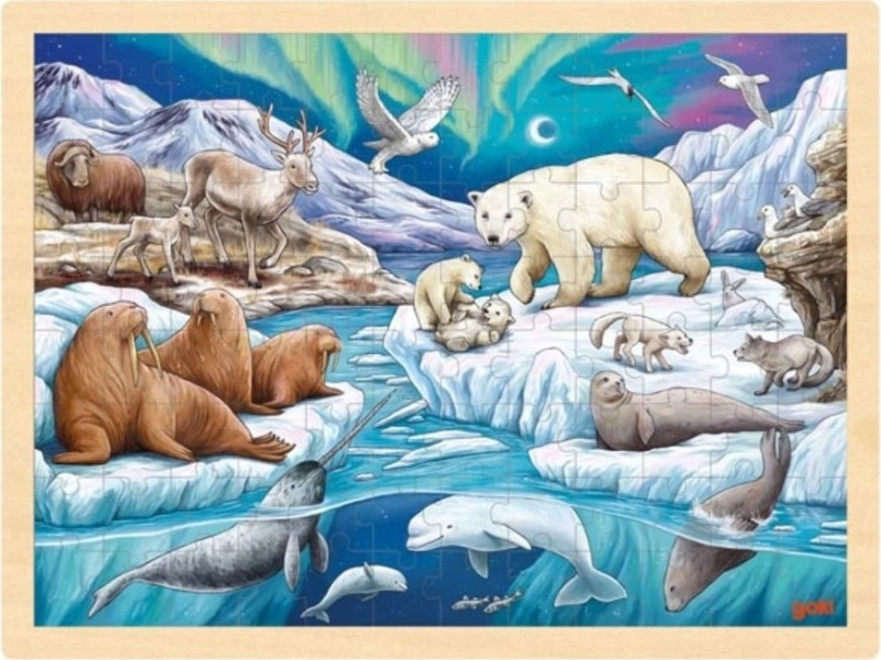 GOKI Dřevěné puzzle Polární noc 96 dílků