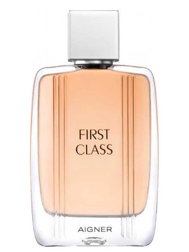 Etienne Aigner First Class toaletní voda pro muže 100 ml