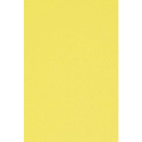 Pěnovka Moosgummi 30x45cm (1ks) světle žlutá