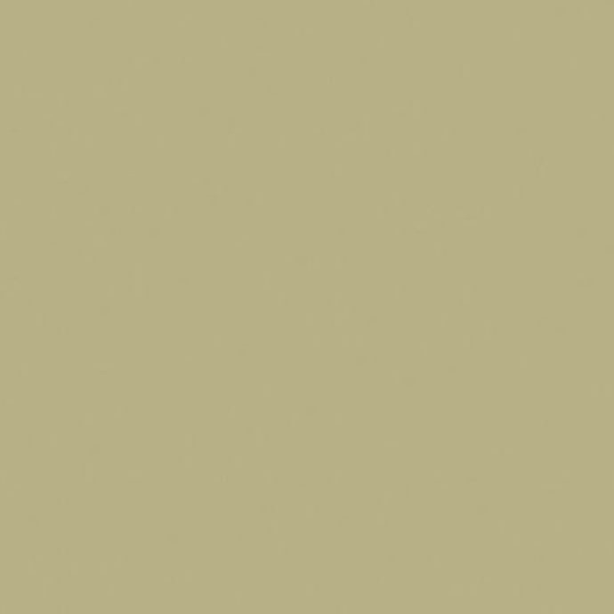 Efcolor 10ml pískový