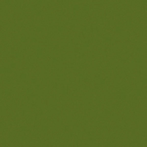 Efcolor 10ml olivová