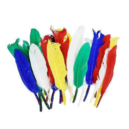 Peříčka (10ks) mix barev indiánská malá
