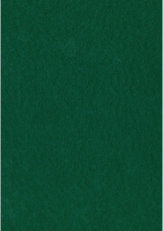 Dekorační plsť 20x30 cm, 2 mm, 350 g, tm. zelená č. 69 Davona s.r.o.