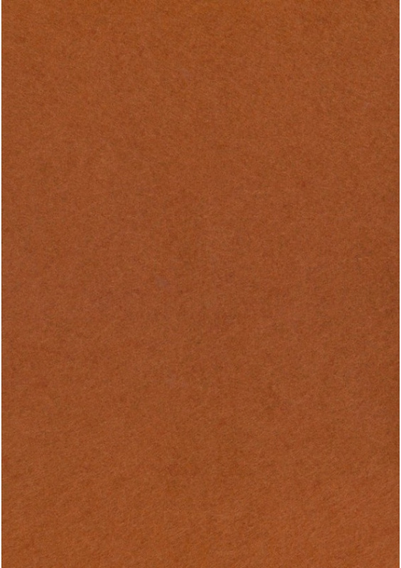 Dekorační plsť 20x30 cm, 2 mm, 350 g, sv. hnědá č. 78 Davona s.r.o.