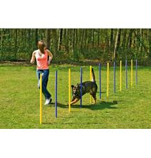Karlie Agility slalom žlutá/modrá 12x100cm