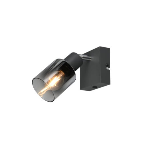 Reality Cadiz bodové světlo antracit r81781042 RER81781042