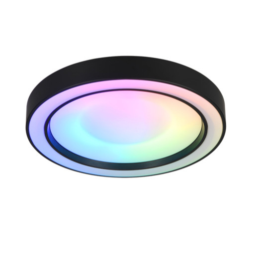 Reality Arco stropní světlo černá r65091432 RER65091432