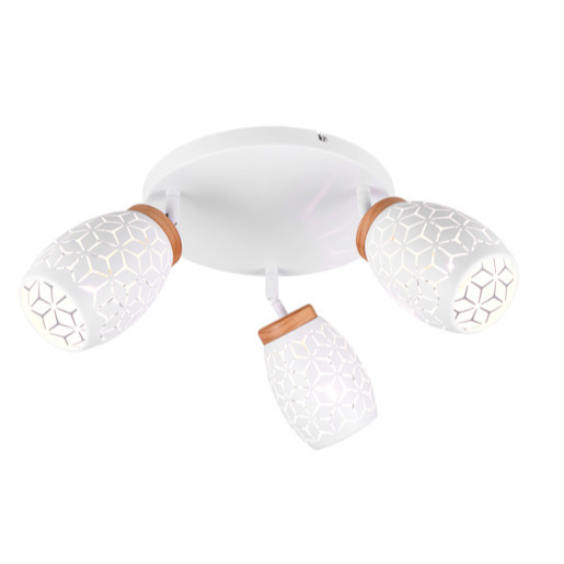 Reality Bidar stropní světlo bílá r61573331 RER61573331