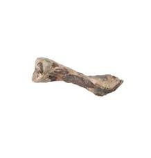 Pochoutka pes kost od šunky  1ks/24cm