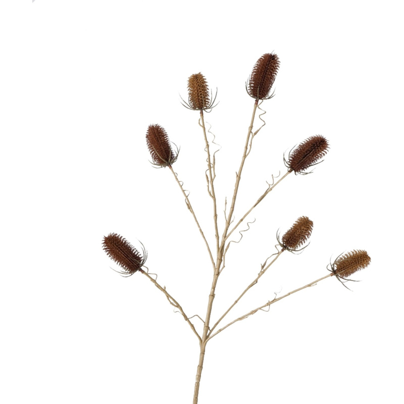 Dekorativní větvička bodláku ve 2 provedeních 110 cm x 10 cm x 110 cm