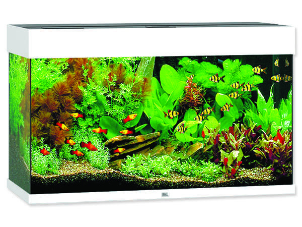 Akvárium set JUWEL Rio LED 125 bílé !!!POUZE OSOBNÍ ODBĚR!!! 125l