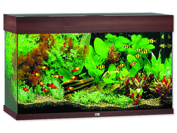 Akvárium set JUWEL Rio LED 125 tmavě hnědé !!!POUZE OSOBNÍ ODBĚR!!! 125l