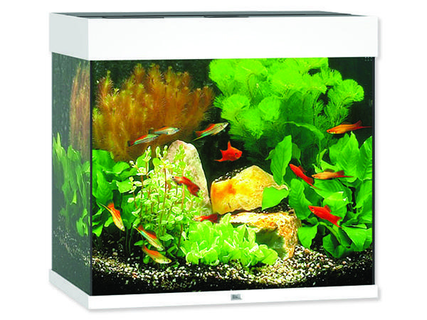 Akvárium set JUWEL Lido LED 120 bílé !!!POUZE OSOBNÍ ODBĚR!!! 120l