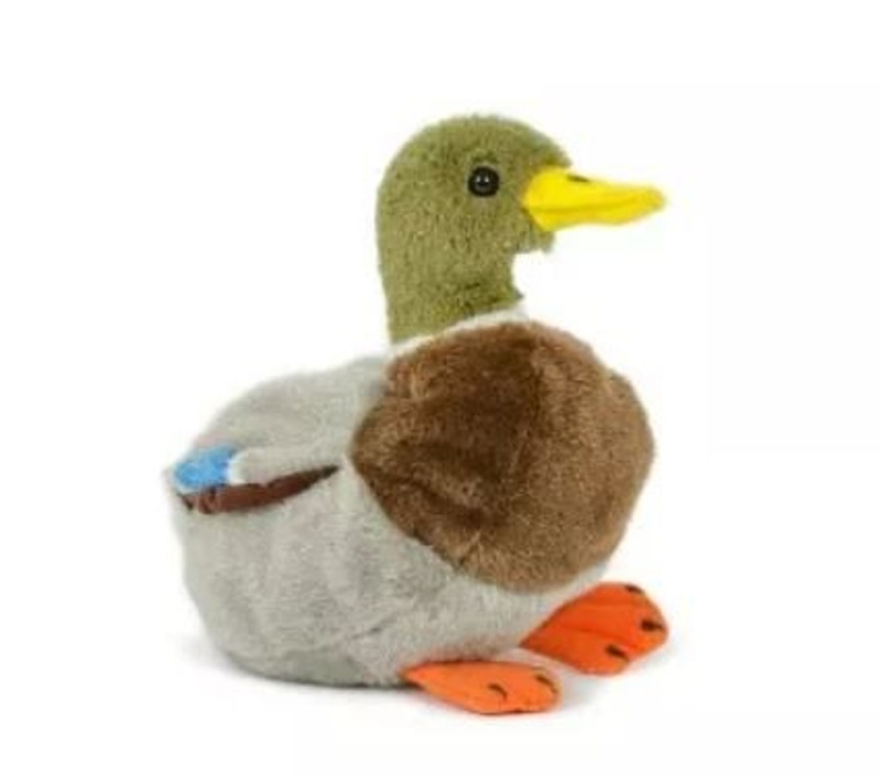 Plyšový kačer divoké kachny 18 cm