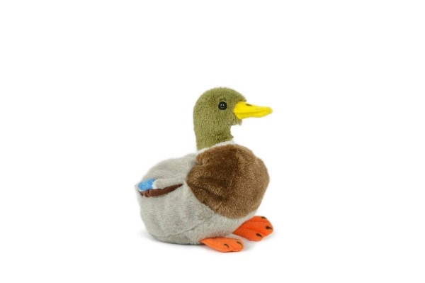Plyšový kačer divoké kachny 18 cm