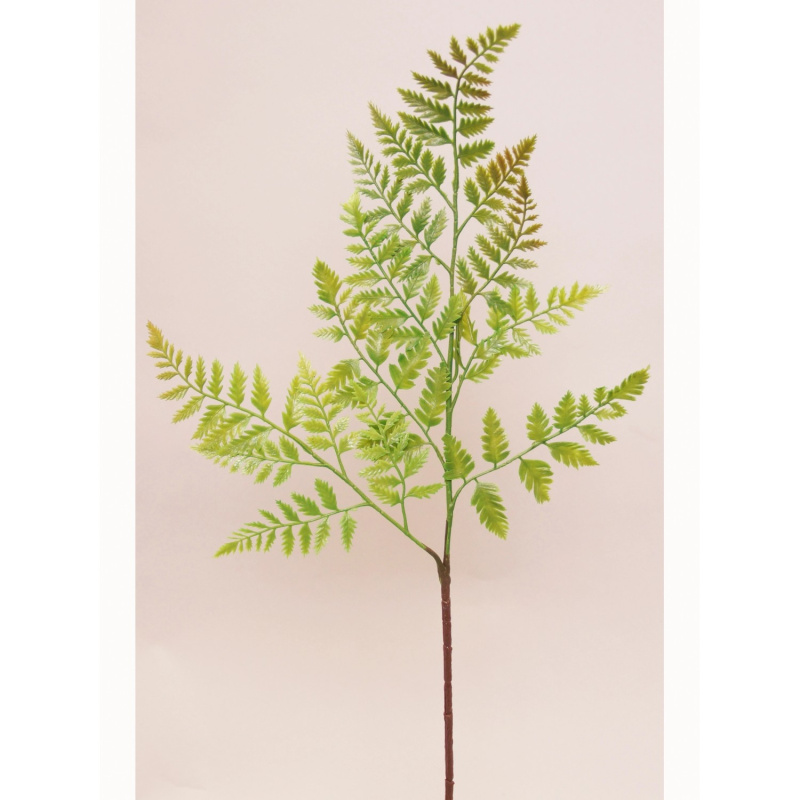 Větvička Kapradí 66 cm x 29 cm tmavě zelená