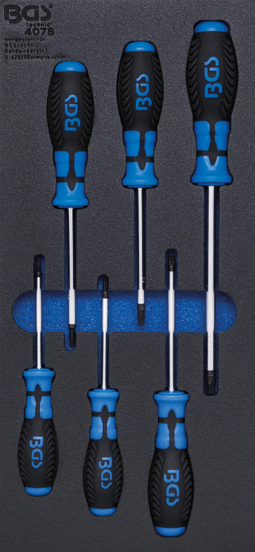 Sada šroubováků v pěnové výplni, Torx, 6 ks - B4078