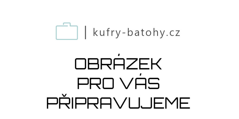 Travelite Batoh Basics Boxy Červený