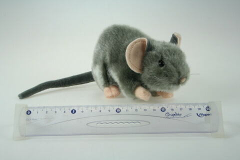 Plyš Myš 18 cm
