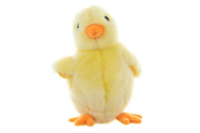 Kuře