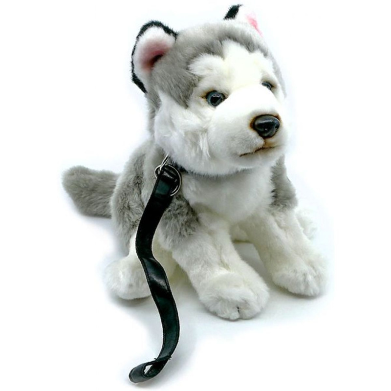 Plyš Husky s vodítkem 24 cm