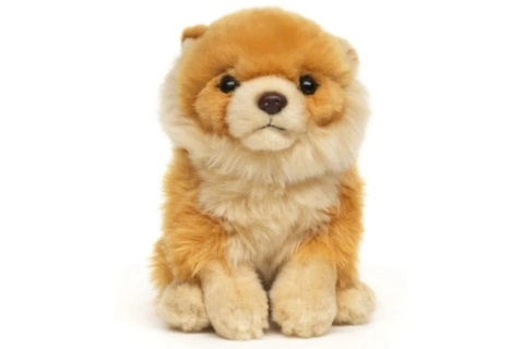 Plyšový pejsek pomeranian eco-friendly 13 cm