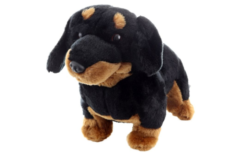 Plyš jezevčík 30 cm ECO-FRIENDLY