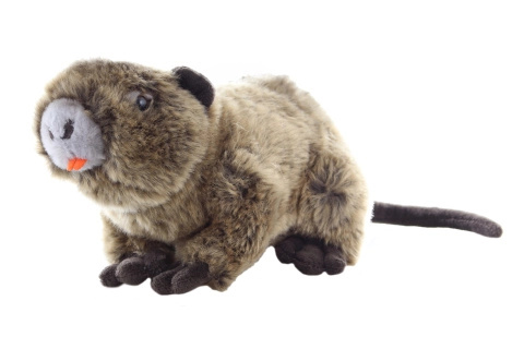 Eco-Friendly nutrie 22 cm