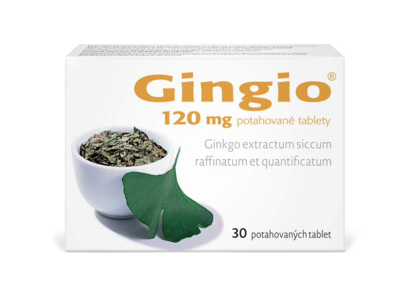GINGIO 120MG Potahovaná tableta 30