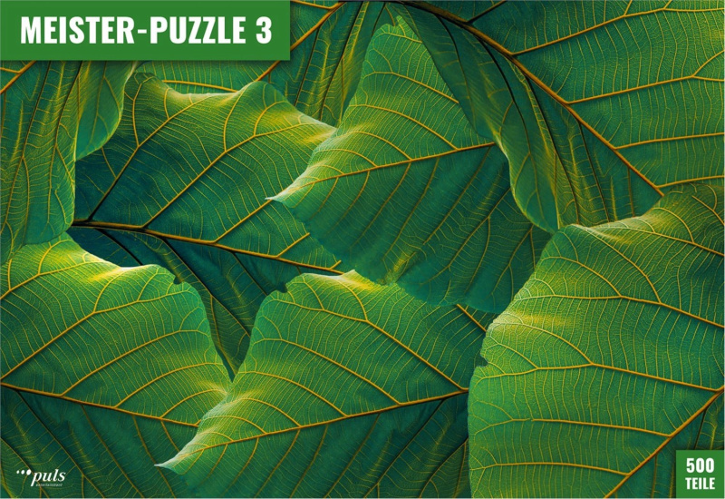 PULS ENTERTAINMENT Meister-Puzzle 3: Listy 500 dílků